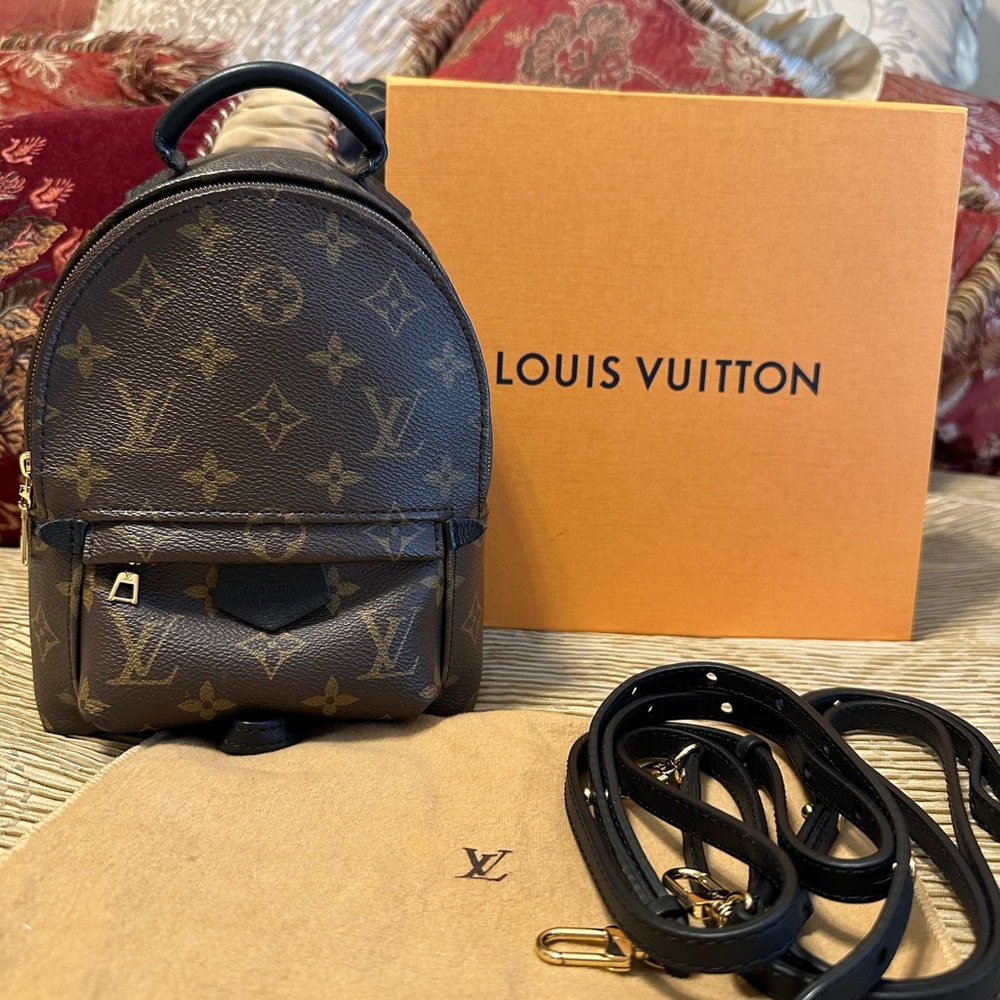 Louis Vuitton Palm Springs Mini Monogram Backpack